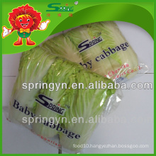 Frozen Chinese Baby cabbage (BIG) healthy green food